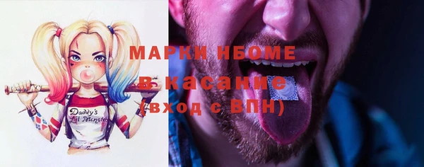 стафф Снежногорск