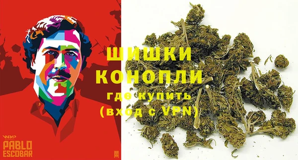гидропоника Бородино