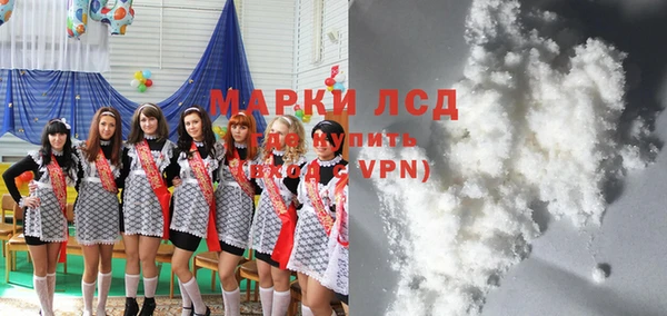 стафф Снежногорск